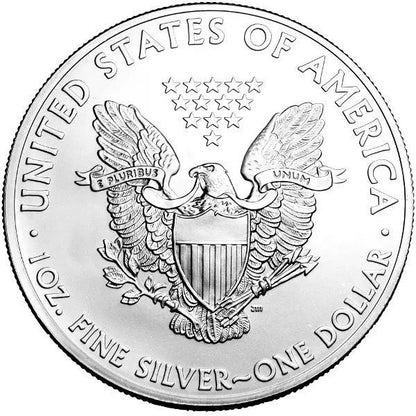 1 oz Ag - Stany Zjednoczone 1$ Orzeł 2009 - uncja srebra